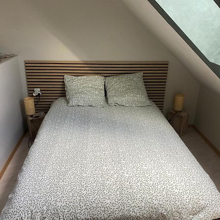 Les Pampas Apartman Montbronn Kültér fotó