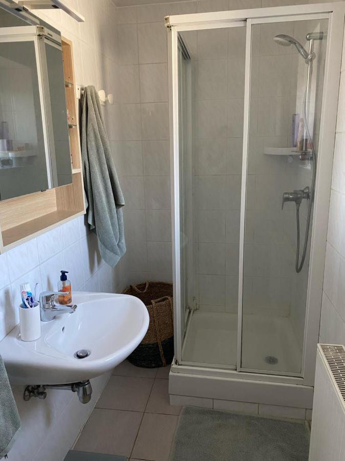 Les Pampas Apartman Montbronn Kültér fotó